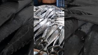 வானகரம் மீன் சந்தைVanagaram Fish Market fishmarket fish [upl. by Rabka]