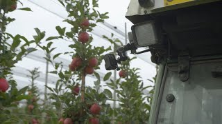 Monitoraggio di un meleto  innovazione in agricoltura 16 [upl. by Bertilla215]