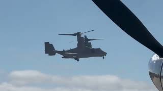 USMC MV22 Osprey Demo  Central Coast Airfest 2024 [upl. by Repinuj]