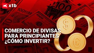 🚀 COMERCIO DE DIVISAS PARA PRINCIPIANTES Guía completa sobre cómo INVERTIR [upl. by Arline]