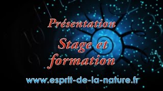 Presentation stage et formation coévolution quantique [upl. by Naujak]