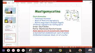 Classification of fungi  Anisworth Classification  Kingdom Fungi Classification  ABCDOPZ [upl. by Thera]