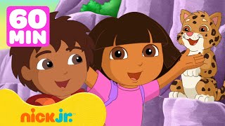 Gli audaci salvataggi di animali di Dora e Diego 😺 1 ora  Nick Jr Italia [upl. by Weisburgh505]