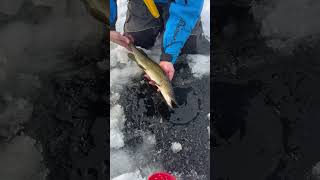 Catch amp Release Wisconsin Ice Fishing [upl. by Singleton]