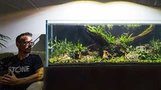 120 GALLON NATURE AQUARIUM AQUASCAPE  FULL STEP BY STEP TUTORIAL [upl. by Vivl362]