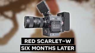 My Experience with the RED Scarlet W Review [upl. by Adelina824]