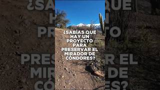 ¿Sabías que hay un proyecto para preservar el Mirador de Cóndores 🪶 trekkingchile senderismo [upl. by Keryt945]