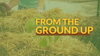 From the Ground Up Straw Bale Gardening [upl. by Akived]