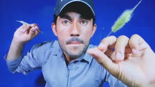 Ears Cleaning ASMR👂With Relaxing Sounds  Part  2  ears asmr  relaxing ears asmr  ASMR Khan [upl. by Nath]