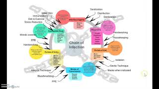 The Infection Control CycleCycle of Infection [upl. by Alitha]