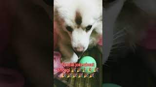 Special jokes comedy videos 😂😂😂😂😂😂😂😂😂😂😂😂😂 [upl. by Shult91]