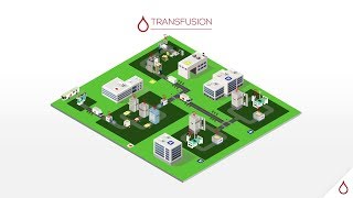 Comment gérer la banque de sang dun hôpital situé à 30km du centre de transfusion [upl. by Eladnek256]