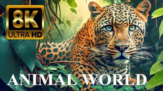 ANIMAL WORLD 8K ULTRA HD  Amazing Wildlife [upl. by Far]