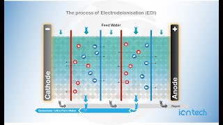 The process of Electro Deionisation EDI Iontech Animated [upl. by Barbuto879]