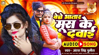 audio  बेचे भातार मूश के दवाई  Antra Singh Punita  Beche Bhatar Mush Ke Dawai  bhojpuri Song [upl. by Bois9]