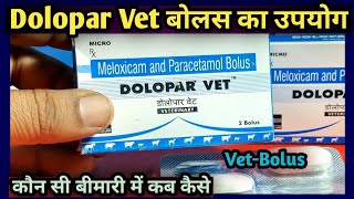 Dolopar Vet BolusMeloxicam and Paracetamol use in Animalsकब कैसे कौन सी बीमारी में उपयोग [upl. by Nyleda]