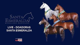 Live Doadoras Haras Santa Esmeralda  ParaopebaMG [upl. by Desdemona502]