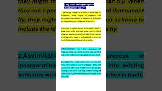 SchemaAssimilation Piaget cognitive development theory CTETBED [upl. by Ylrae]