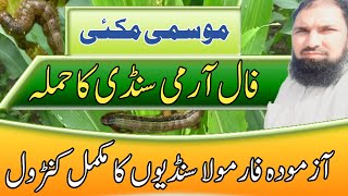 How to Control Fall Armyworm in Corn  Fall Army chemical control in maize  Agri786 [upl. by Jurkoic]