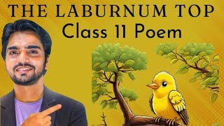 The Laburnum Top Class 11  Hornbill Poem [upl. by Ysdnyl750]