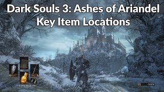 Dark Souls 3 Ashes of Ariandel  Key Item Walkthrough  Guide [upl. by Ehudd]