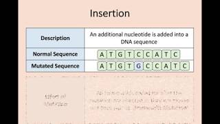 Higher Biology  16 Mutations [upl. by Carla]