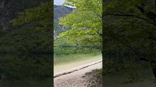 Bohinjsko jezero  Ukanc relaxing zen slovenia bohinj lake travel [upl. by Anilam528]