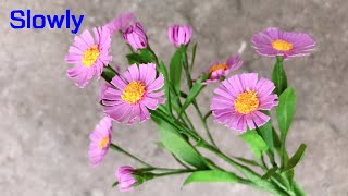 ABC TV  How To Make Aster Amellus Paper Flower With Shape Punch Slowly  Craft Tutorial [upl. by Aleacim931]