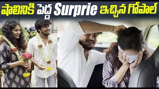 షాలిని కి Surprise ఇచ్చిన గోపాల్  Darestar Gopal  Warangal Pilla  Cue Media [upl. by Ecertal]