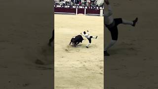 IGranRecorteDe“Use”AlDeGalacheLasVentasMadrid2024bull shortsconcursoderecortes🐂 [upl. by Ninon]