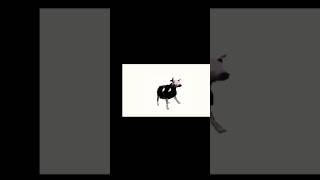 Polish Cow song shorts polishcow [upl. by Dewhirst]