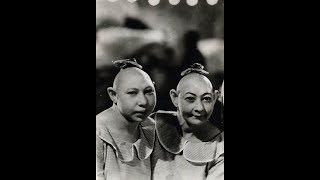 sad story of sisters PIP AND FLIP SNOW – THE PINHEADS OF FREAKS [upl. by Anneliese261]