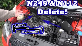 Time To Delete The N249 and N112 Polo 9n3 GTI [upl. by Epperson]