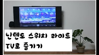 닌텐도 스위치 라이트  TV로 즐기기 200518 Nintendo Switch Lite TV [upl. by Leryt]