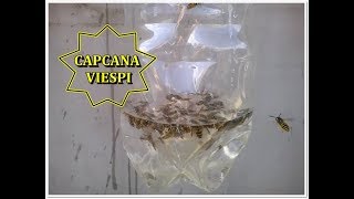 CAPCANA PENTRU VIESPI  WASP TRAP [upl. by Roger]