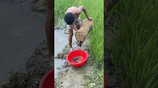 Traditional Fishing Trap With Boys Fishing shorts [upl. by Llenrub]