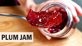 How to Make Delicious Plum Jam From Scratch [upl. by Eeslehc720]