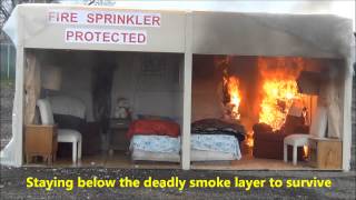 FlashoverFire Sprinkler Demonstration 3192013 [upl. by Anahsal]