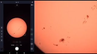 Sunrise Sunspots 38063819  Seestar S50  Pompey Observatory  8 September 2024 [upl. by Juliet843]