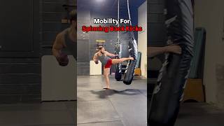 Mobility Exercises For Stronger Spinning Back Kicks mma kickboxing karate taekwondo [upl. by Harli220]