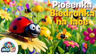 🎶 Biedronka na Łące 🐞  Wesoła Piosenka dla Dzieci  Nauka przez Zabawę 🌼 [upl. by Larkins425]