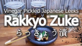 How To Make Rakkyo Zuke 甘酢漬け  Japanese Sweet Vinegar Leeks [upl. by Ennavoj650]