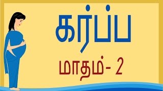 Pregnancy  Tamil  Month 2  கர்ப்பம் மாதம் 2 [upl. by Marcelline]