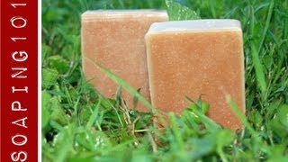 How to Make Jewelweed Soap for poison ivy S2W20 [upl. by Ramunni358]