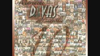 Suavecito Spanish Version  Mariachi Divas De Cindy Shea [upl. by Analeh]