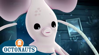 Octonauts  Long Armed Squid amp The Fiddler Crabs  Cartoons for Kids  Underwater Sea Education [upl. by Giule]