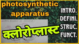 photosynthetic apparatus chloroplast क्लोरोप्लास्ट introduction definition structure function [upl. by Lladnek]