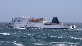 Adventurous Voyage Across Cook Strait Interislander Ferry from Wellington to Picton in Rough Seas [upl. by Berns]