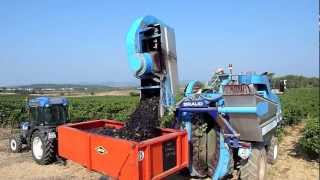 Grape harvesting machine BRAUD Languedoc [upl. by Shipman]