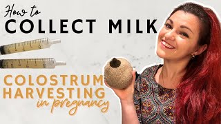 Hand Expression In Pregnancy  How To Collect Colostrum [upl. by Leiser]